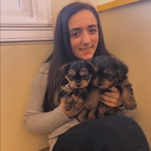 Meet your Posher, Ava